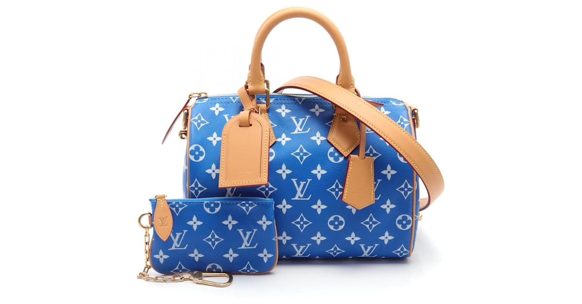 【25SS /SKY BLUE】Louis Vuitton ショルダーバッグ PULSE WW s-l1200.jpg