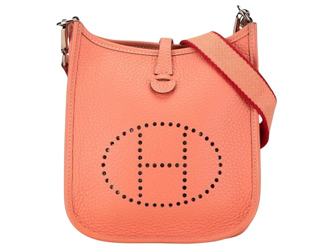 Hermès Mini Evelyne Multiple colors Leather ref.1624665 - Joli Closet