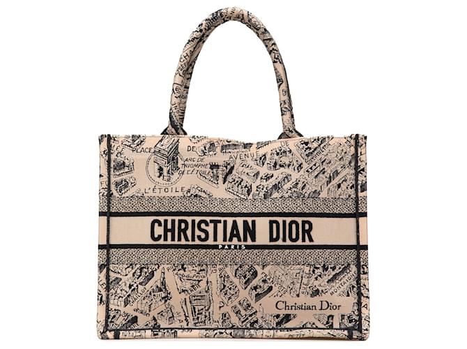 Dior Brown Mittlere Bestickte Canvas Plan de Paris Tasche Braun