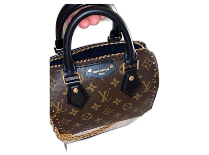 Louis Vuitton Speedy trunk Brown Leather ref.2816306 - Joli Closet