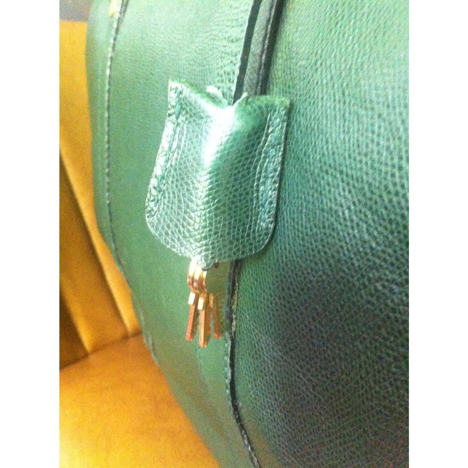 Goyard Travel bag Green Leather ref.12712 - Joli Closet
