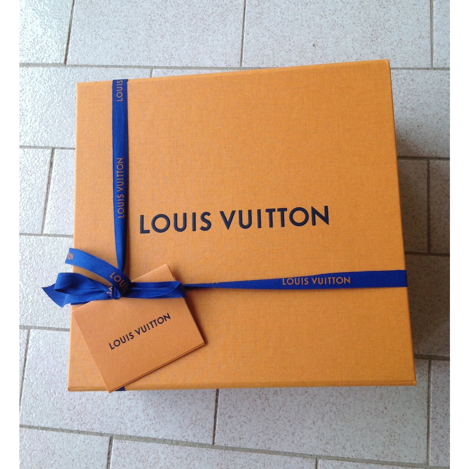 Louis Vuitton Palm Springs mini Brown Leather ref.29723 - Joli Closet