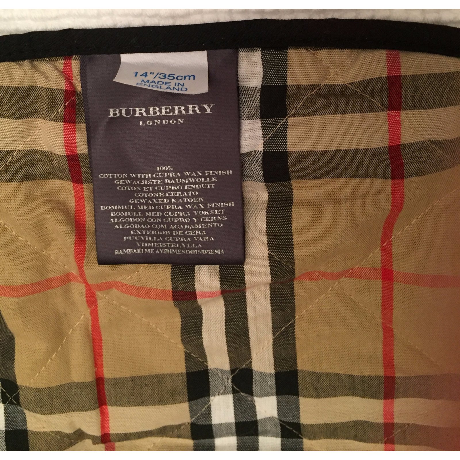 burberry dog trench coat