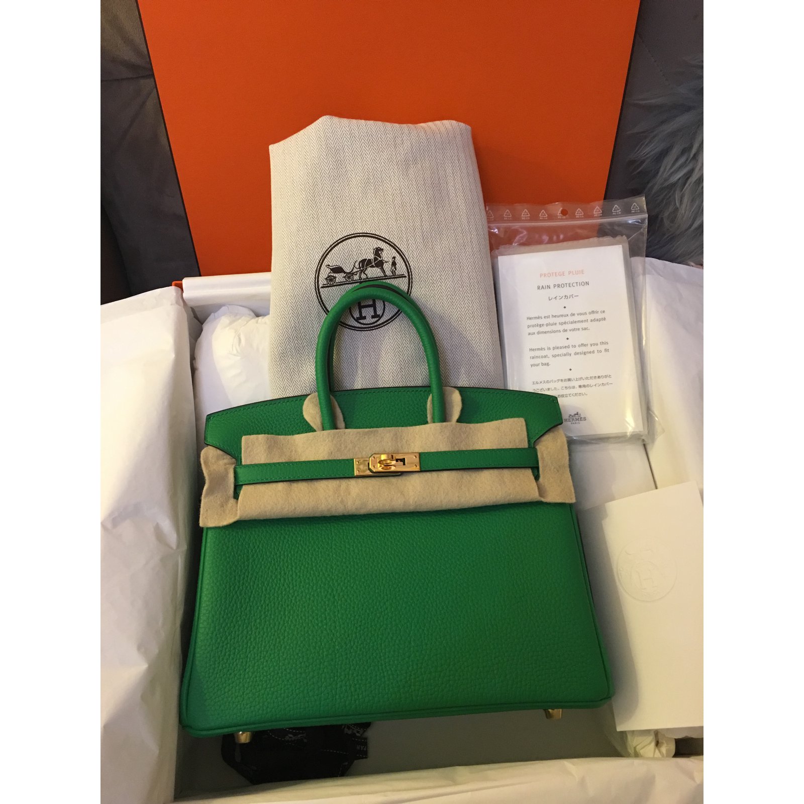Hermes Birkin 25CM Clemence Bamboo Green Palladium Hardware Handbag DO –  Max Pawn