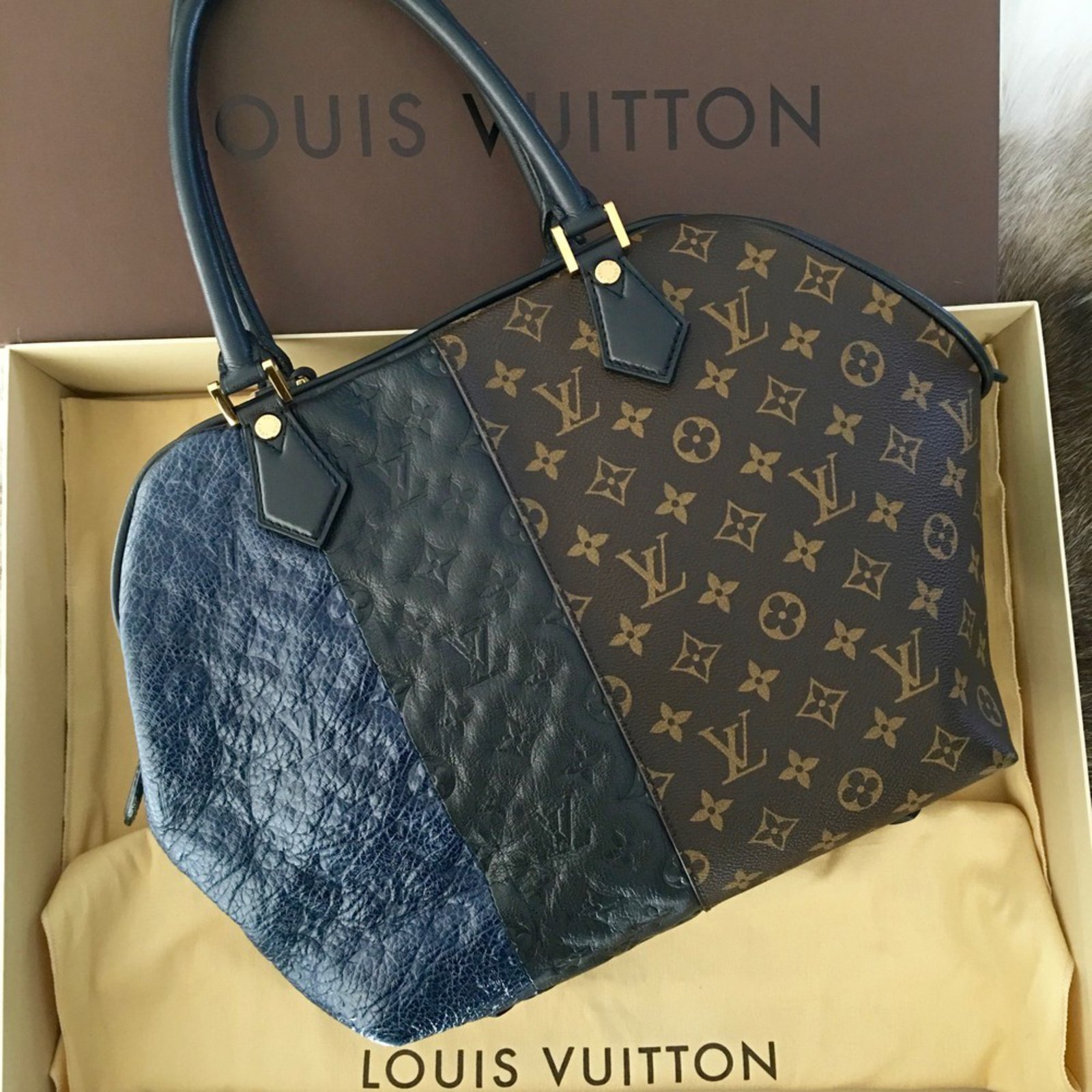 Louis Vuitton Limited edition Spring 2011 Multiple colors Leather