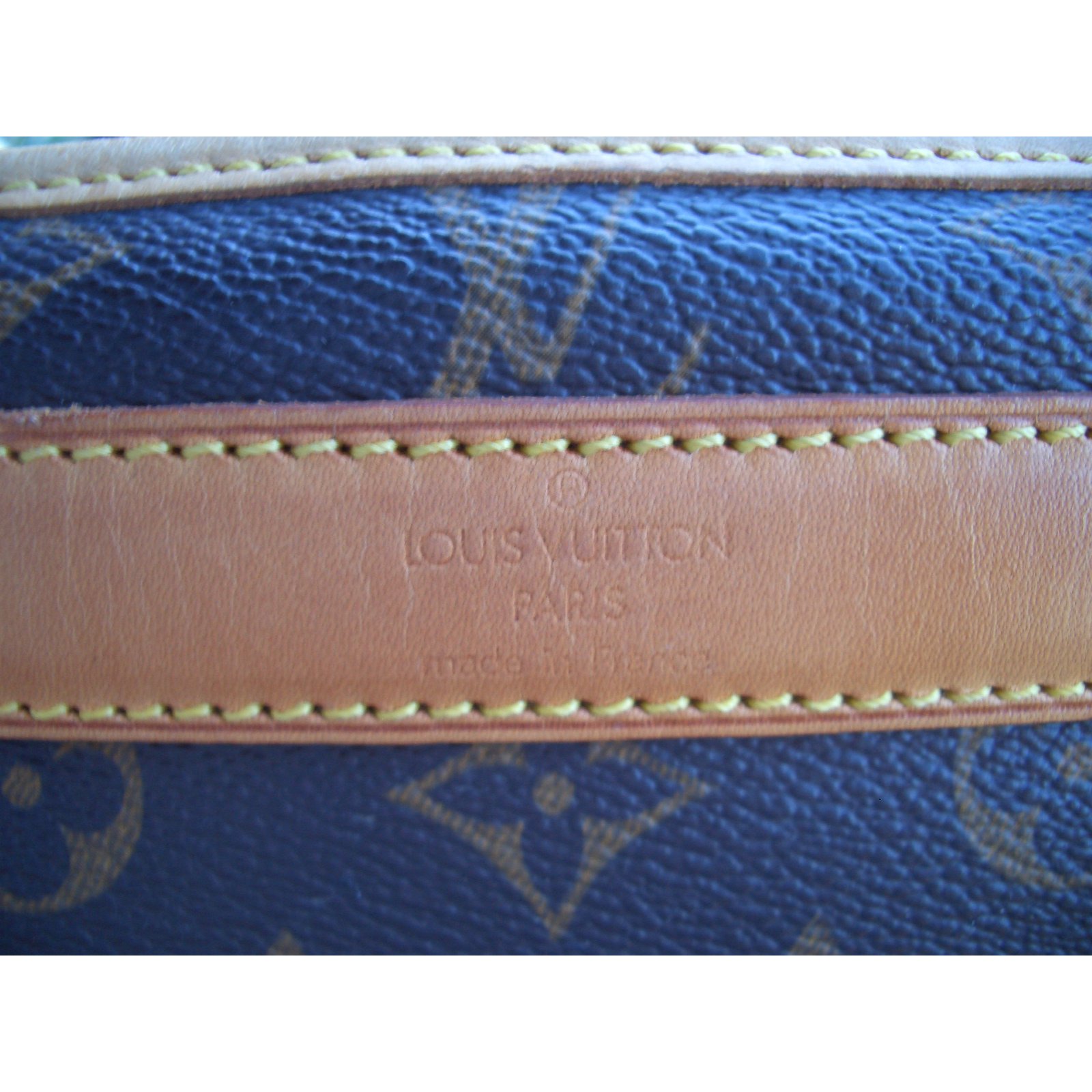 Louis Vuitton bag dog Brown Leather ref.58025 - Joli Closet