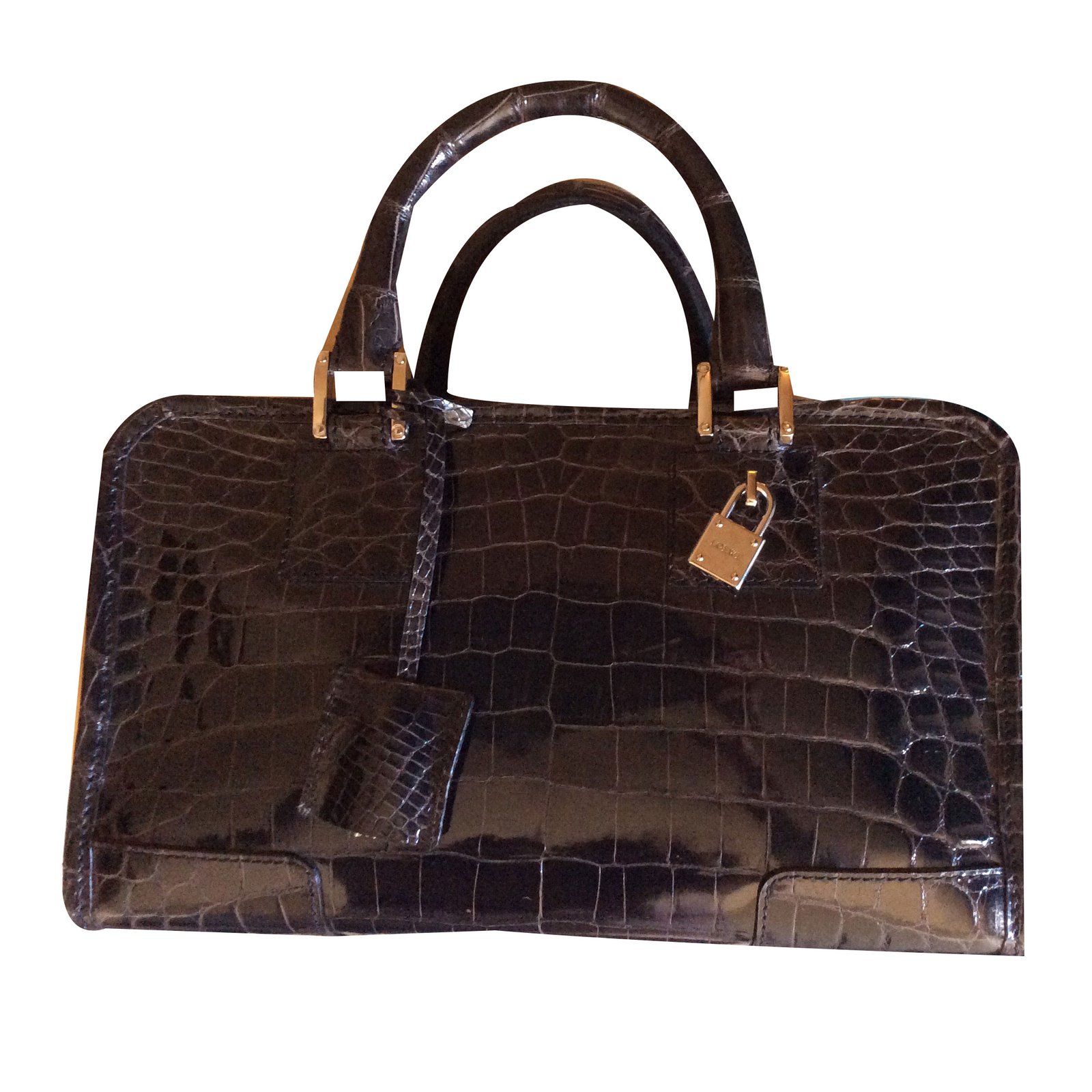 Loewe Amazona crocodile Black Exotic leather ref.76330 - Joli Closet