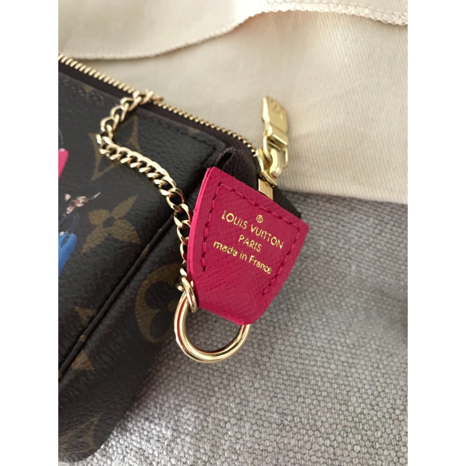 Louis Vuitton Mini pochette Accessoires Illustre Multiple colors ref.76936  - Joli Closet