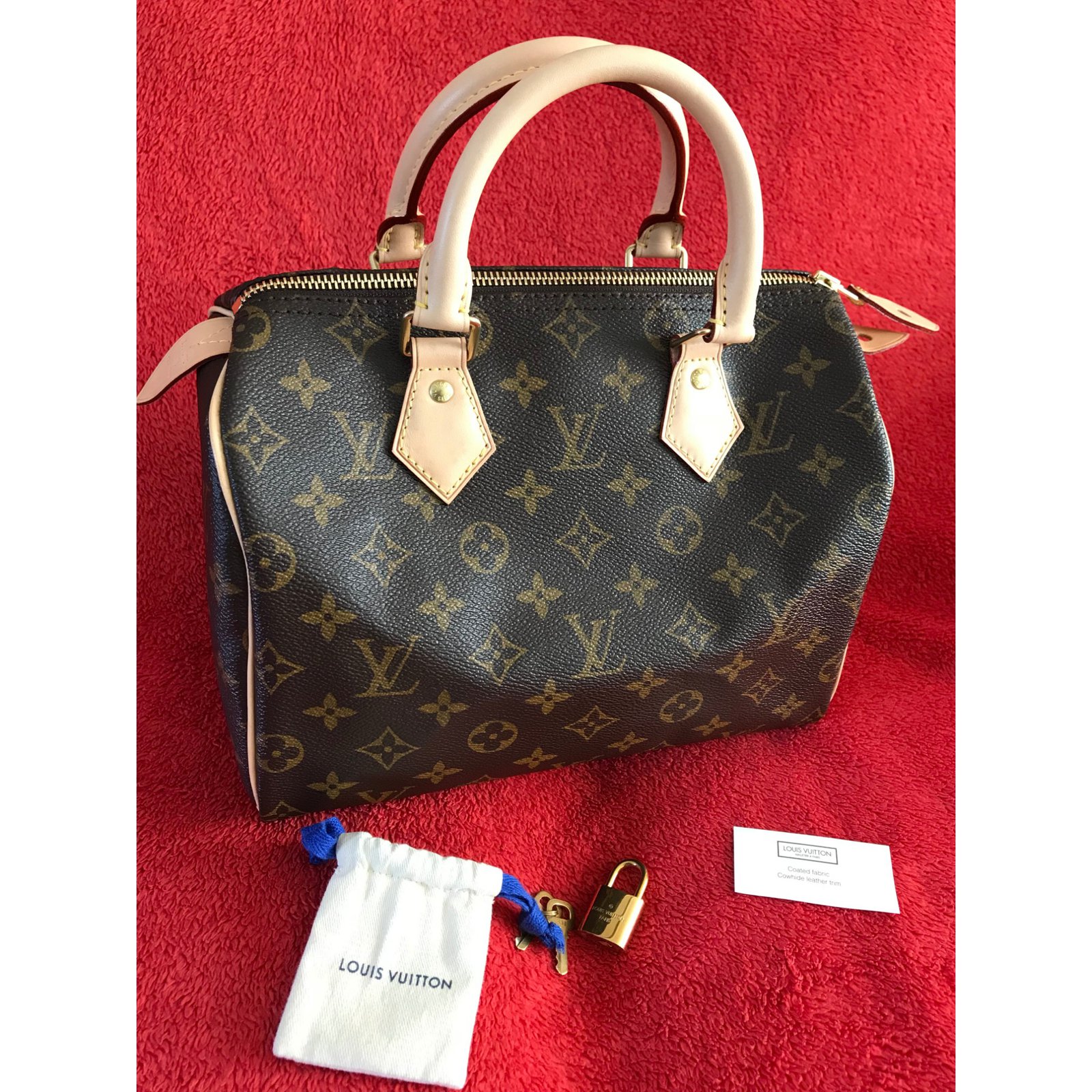 Speedy cloth handbag Louis Vuitton Multicolour in Cloth - 32551399