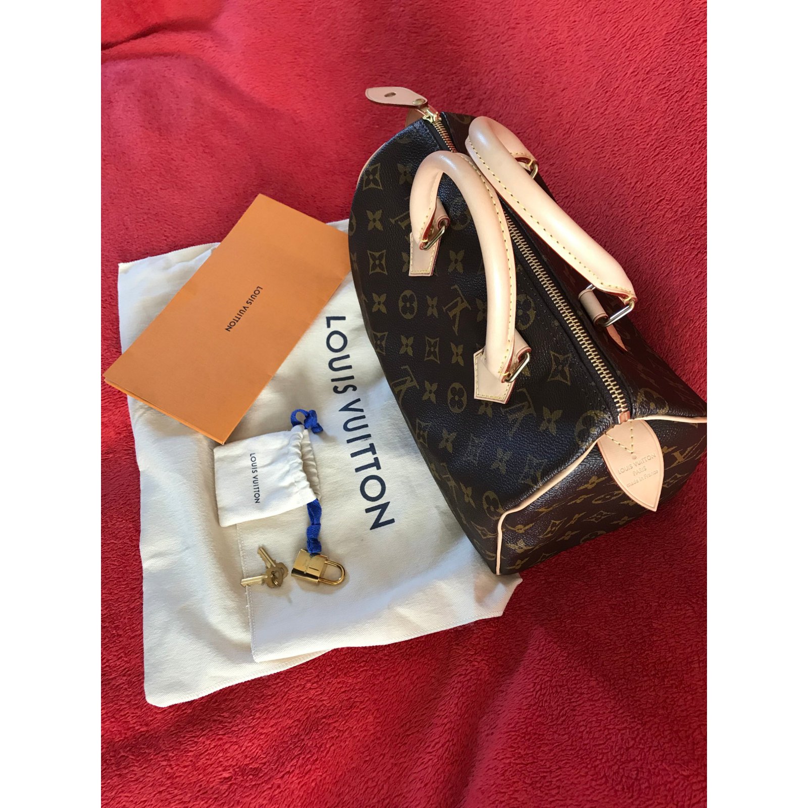 Néo speedy cloth handbag Louis Vuitton Brown in Cloth - 25481740