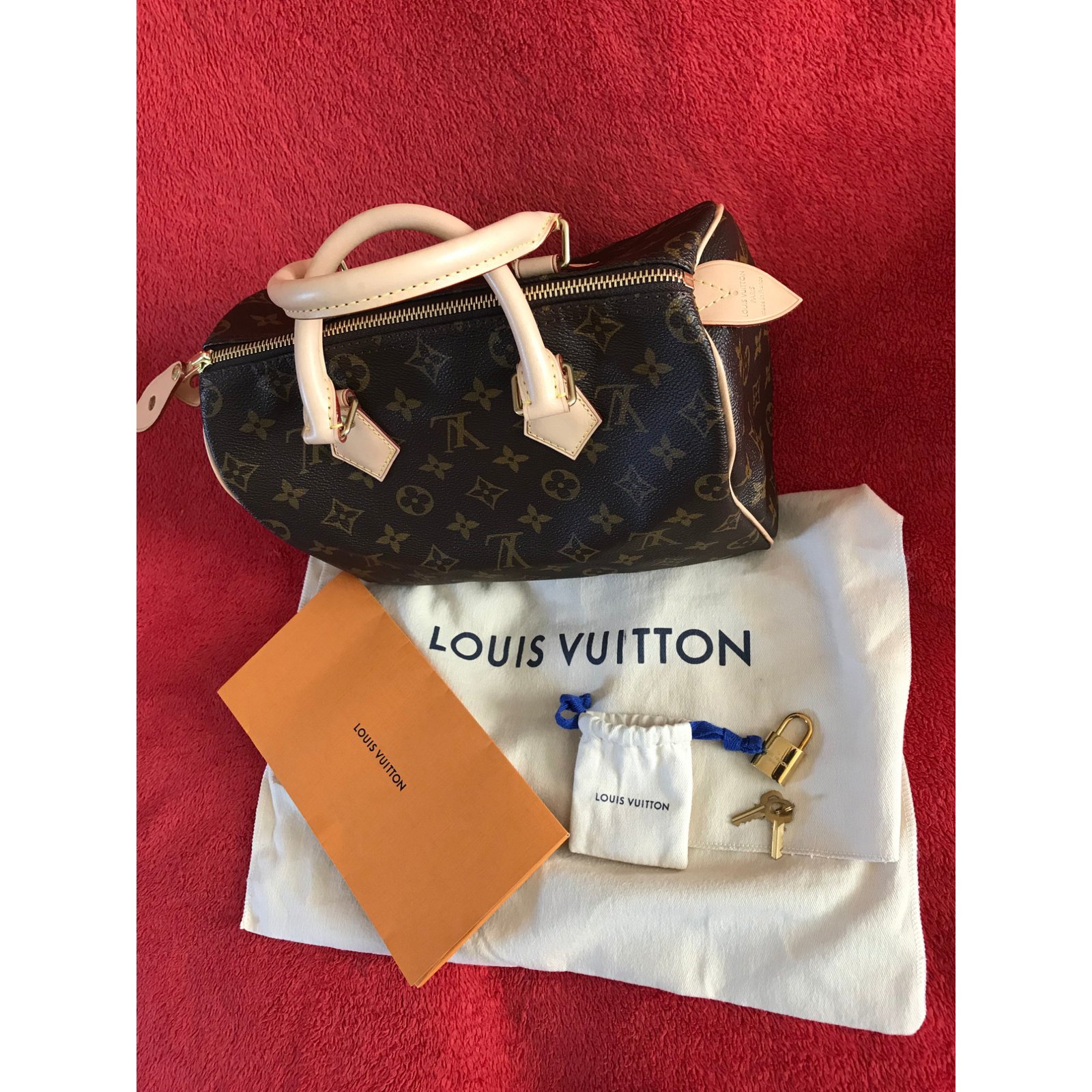 Speedy cloth satchel Louis Vuitton White in Cloth - 19091611