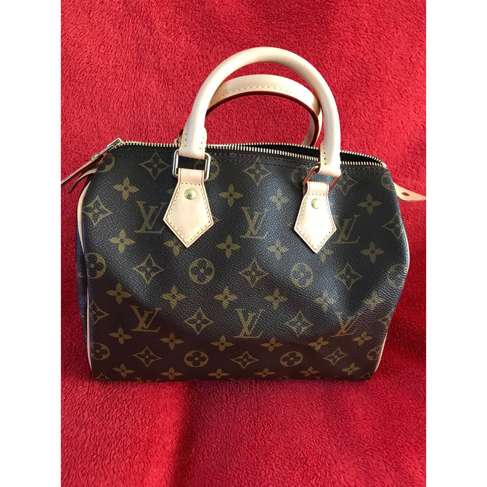 Speedy fabric handbag Louis Vuitton Brown in Cloth - 35427946