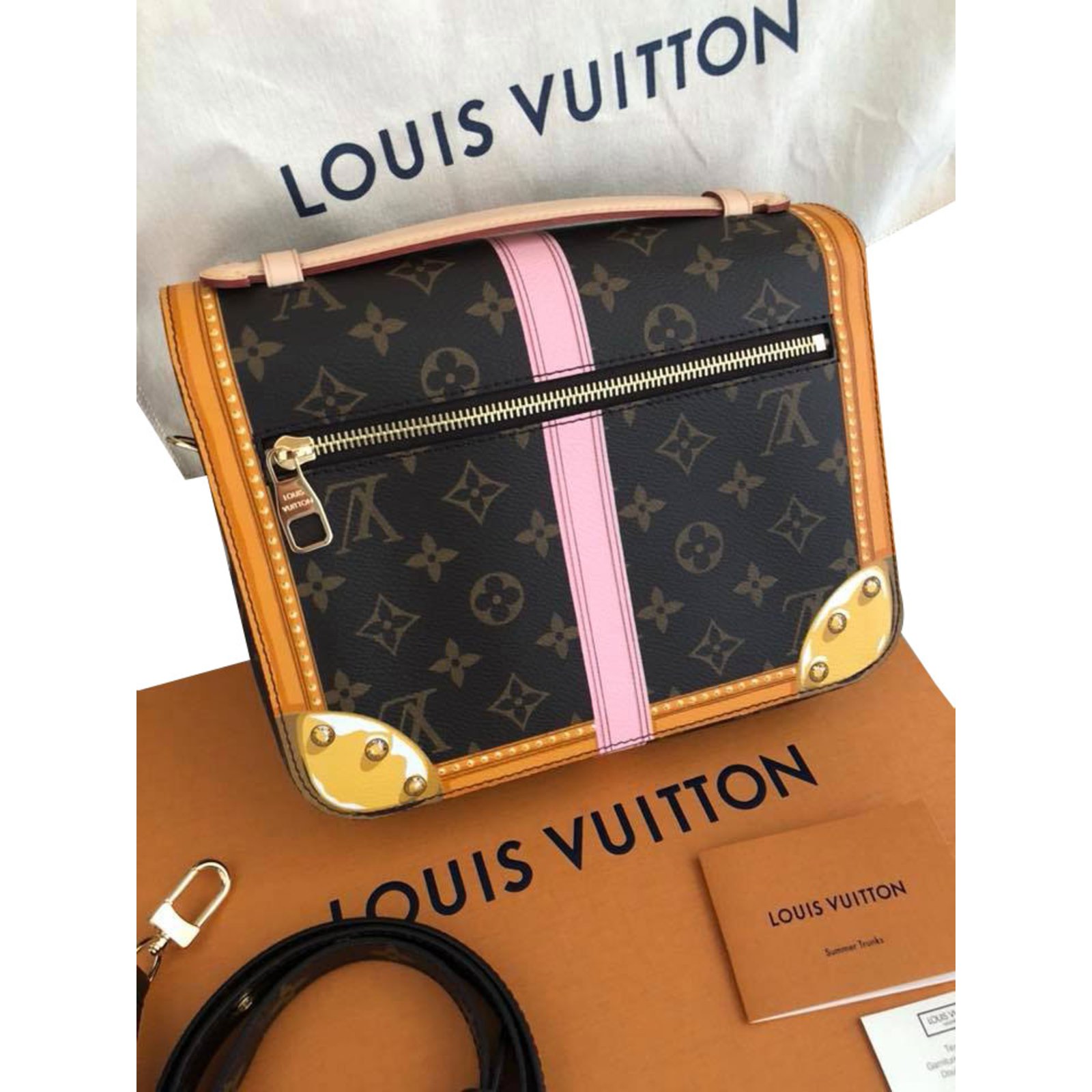 Louis Vuitton Gift Bag — Clothing / Shoe / Purse