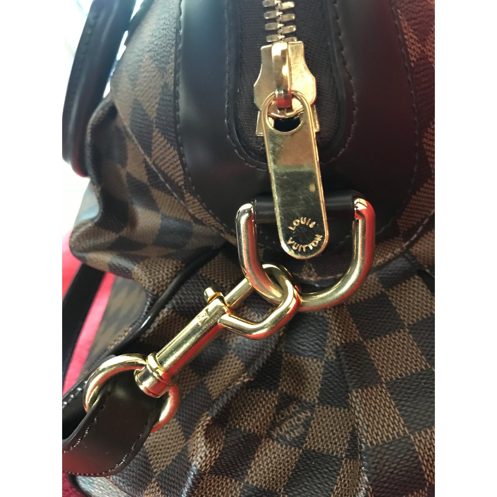 Louis Vuitton Ebene Trevi GM Bag – The Closet