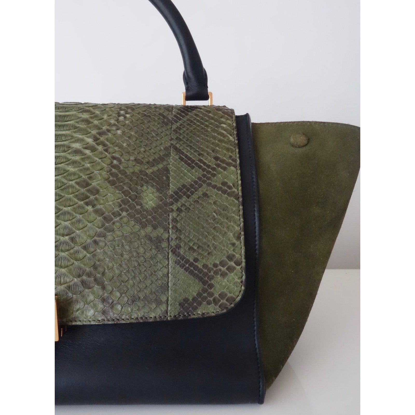 Blade python handbag Celine Green in Python - 33187400