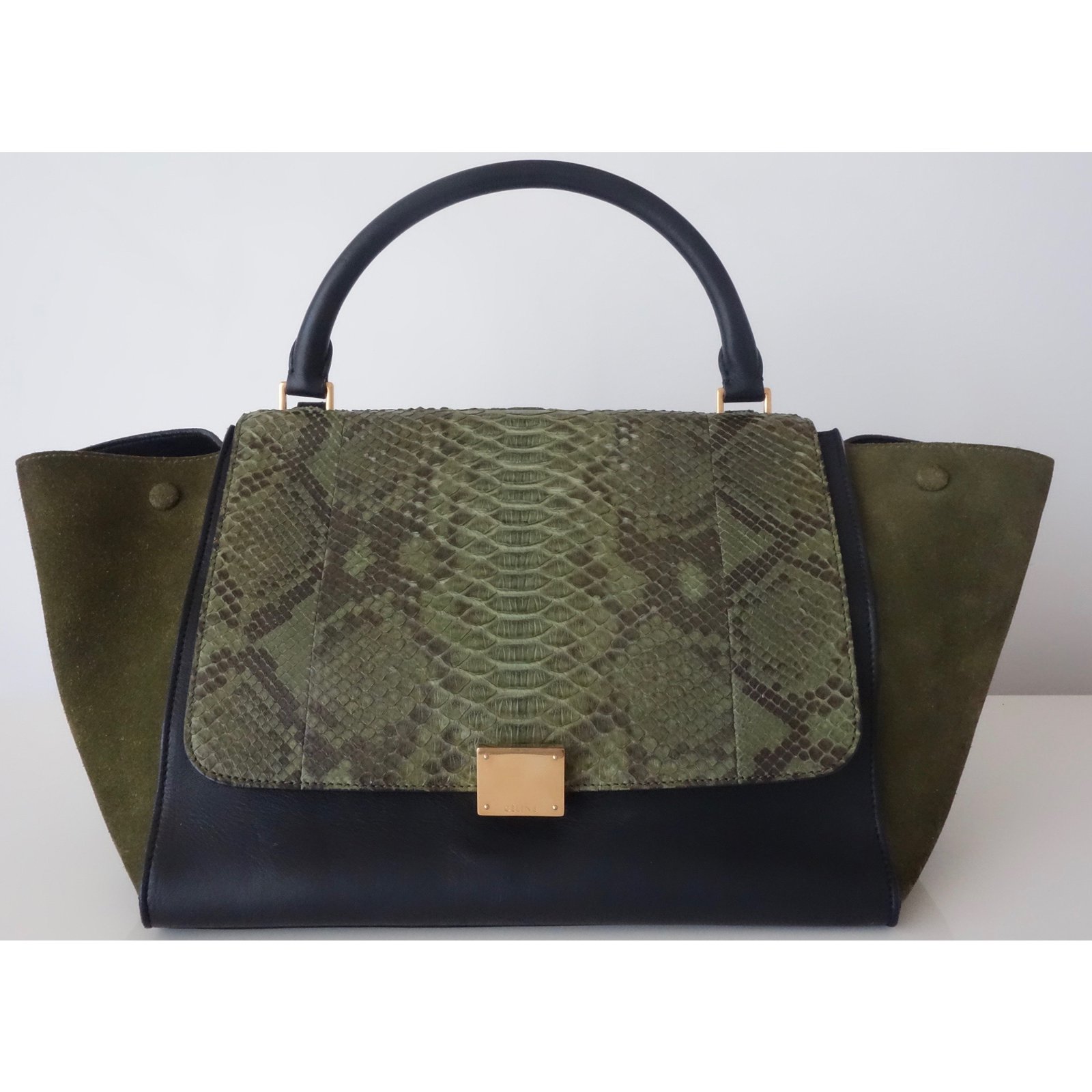 Blade python handbag Celine Green in Python - 33187400
