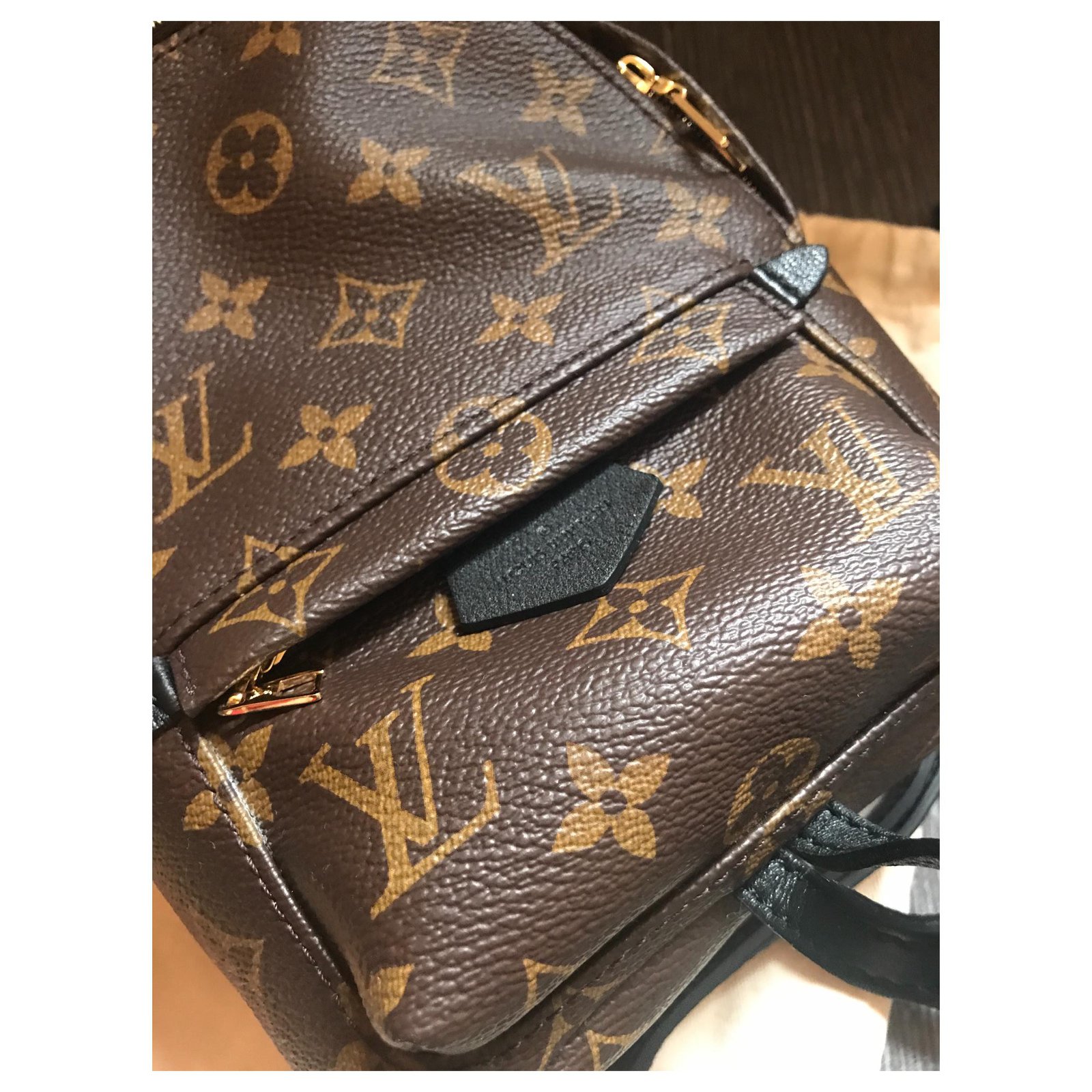 Louis Vuitton Palm Springs Shoulder Bag Rare Mini Backpack Black Leather  ref.391499 - Joli Closet