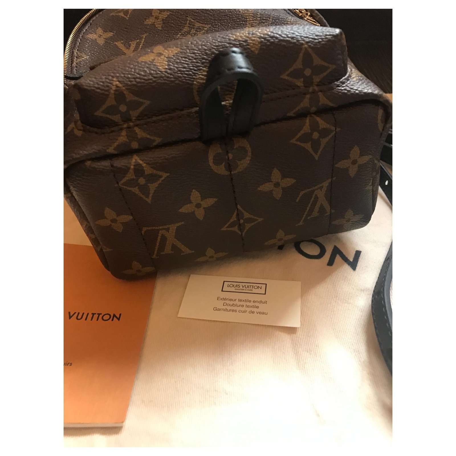 Louis Vuitton Palm Springs Shoulder Bag Rare Mini Backpack Black Leather  ref.391499 - Joli Closet