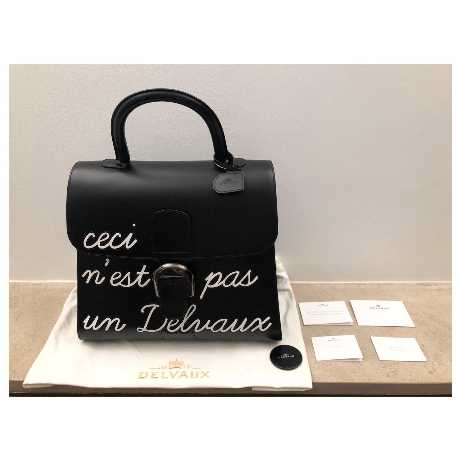 A woman in black with a handbag in sorbetto. 🖤💛💙 #rougecloset Outfit: @Delvaux  Brillant mini box calf in sorbetto #delvaux…