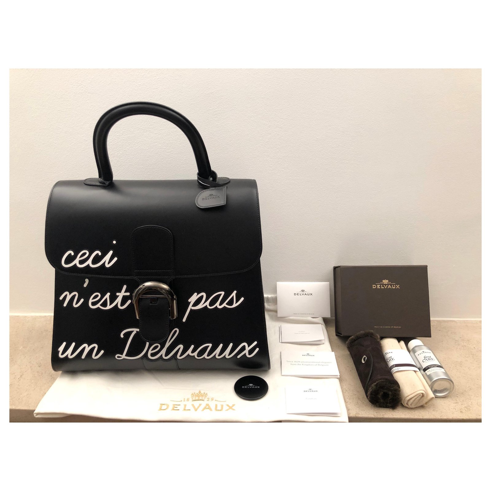 Tempête leather handbag Delvaux Black in Leather - 32603952