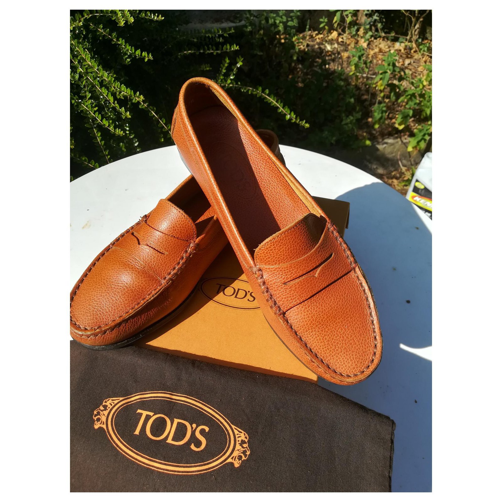 mocassin tod's