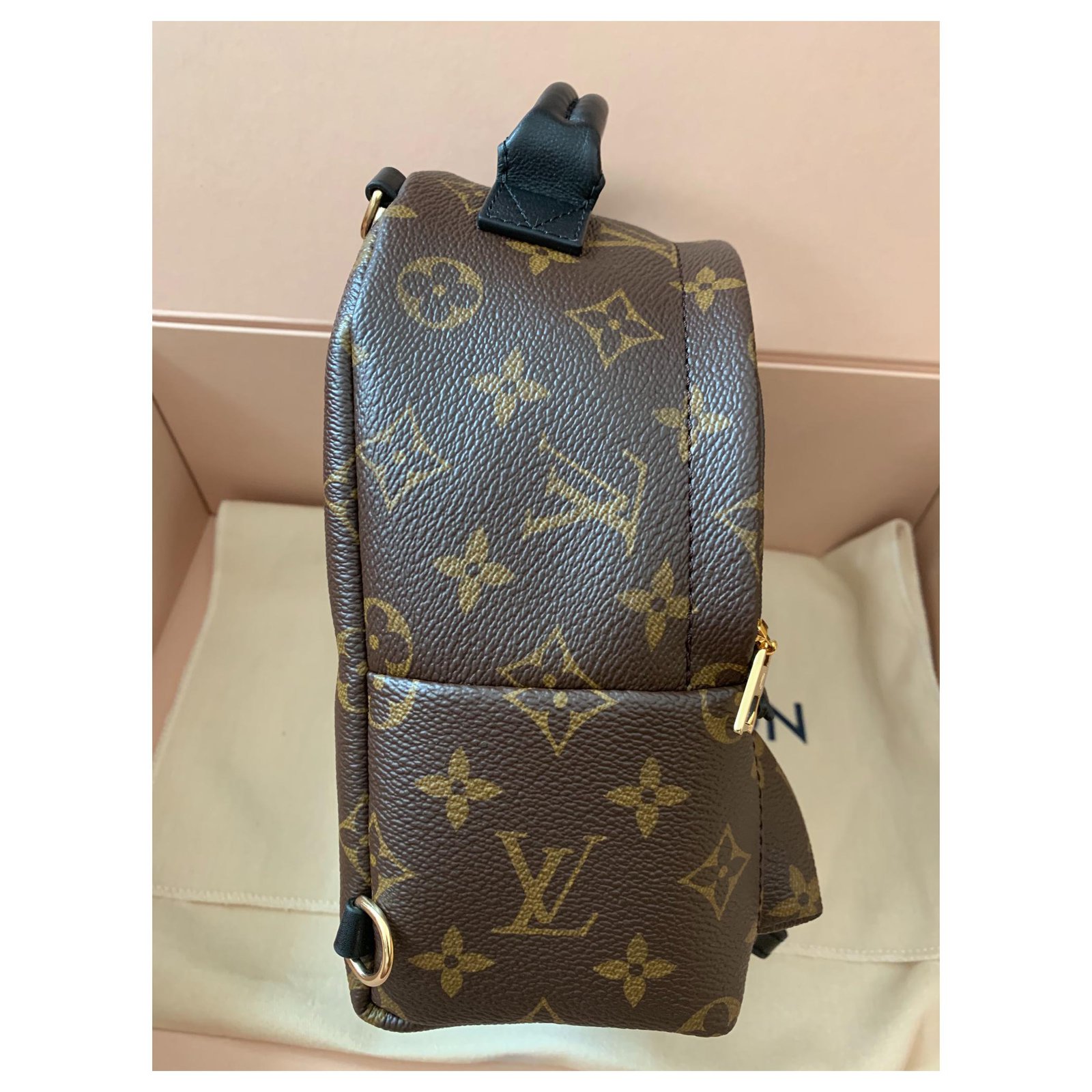 Sacs à dos Louis Vuitton Palm Springs Mini Backpack Autre Marron ref.143930 - Joli Closet