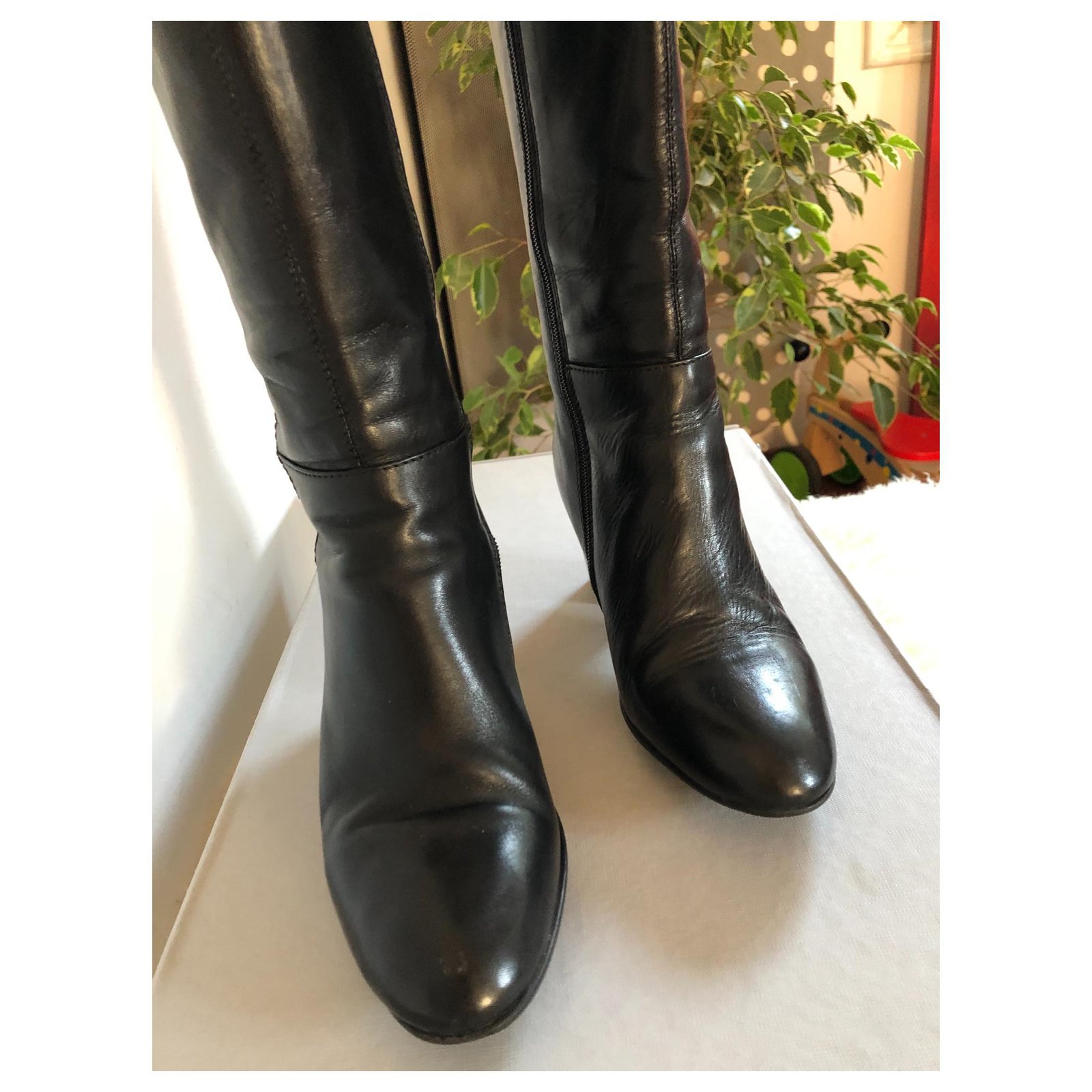 minelli femme boots