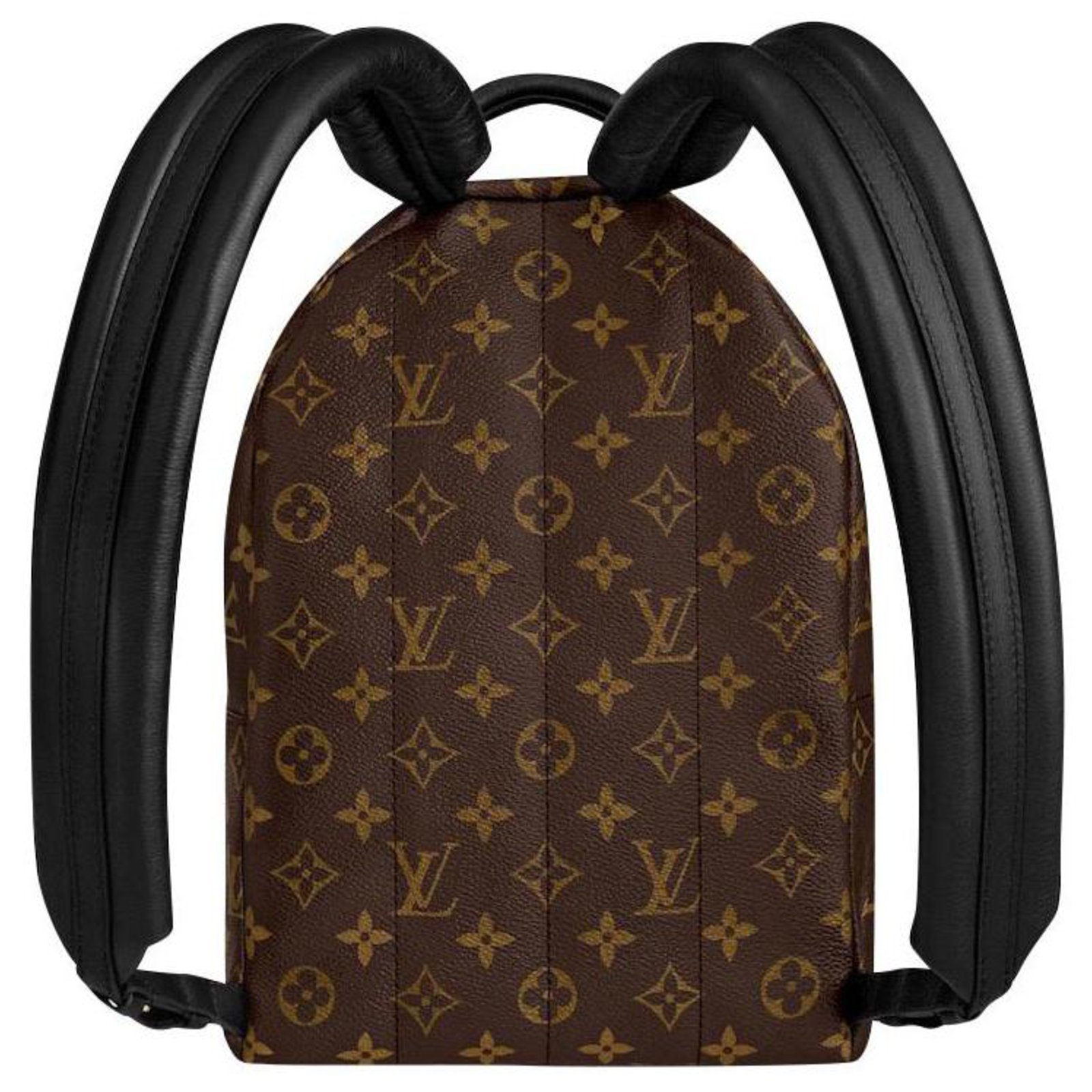 Palm springs leather backpack Louis Vuitton Multicolour in Leather -  33561259