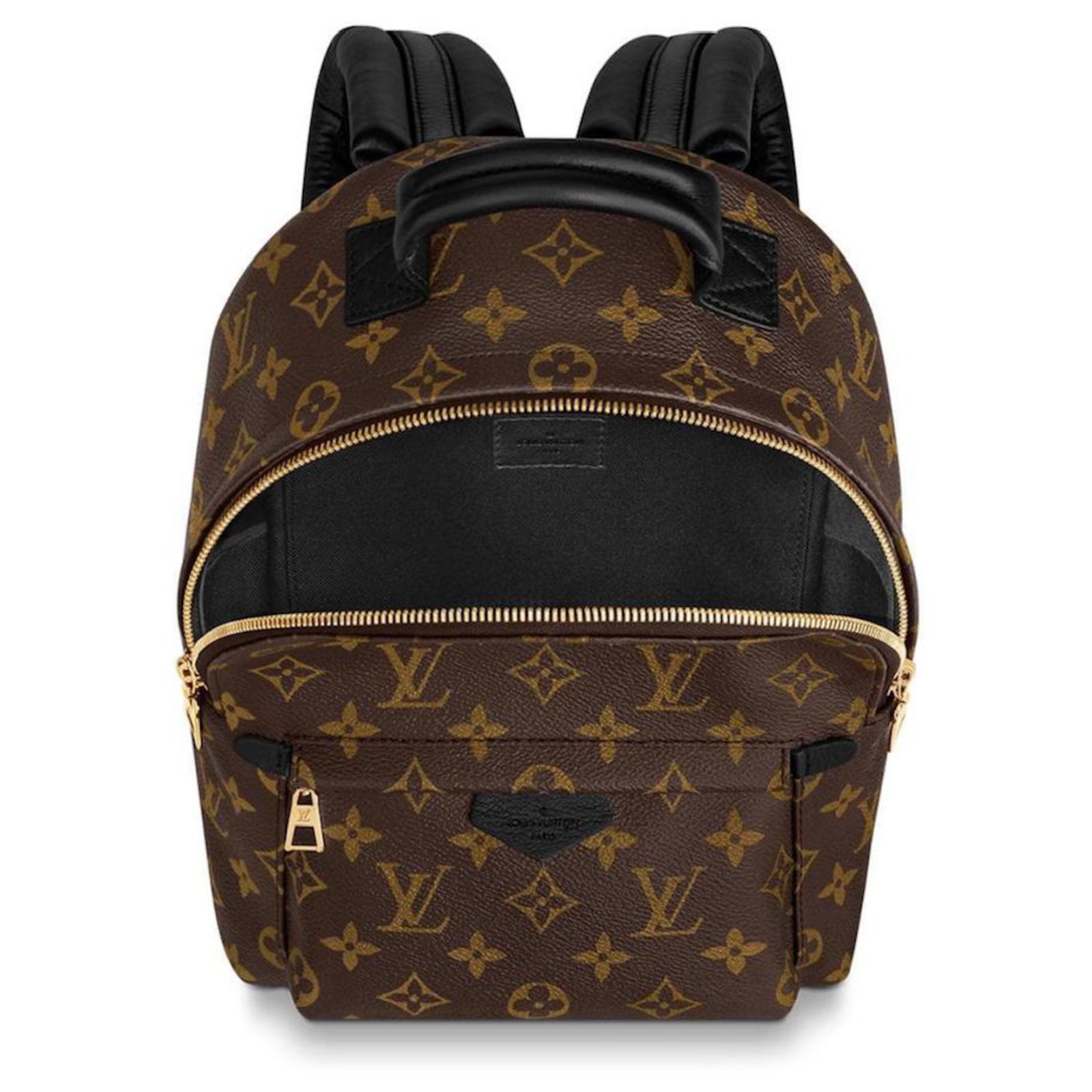 Palm springs leather backpack Louis Vuitton Multicolour in Leather -  33561259