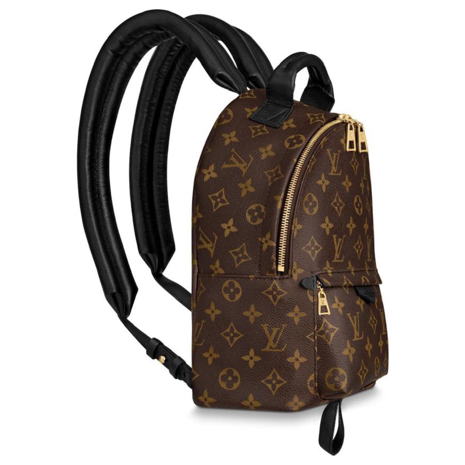 Palm springs leather backpack Louis Vuitton Brown in Leather - 35079627