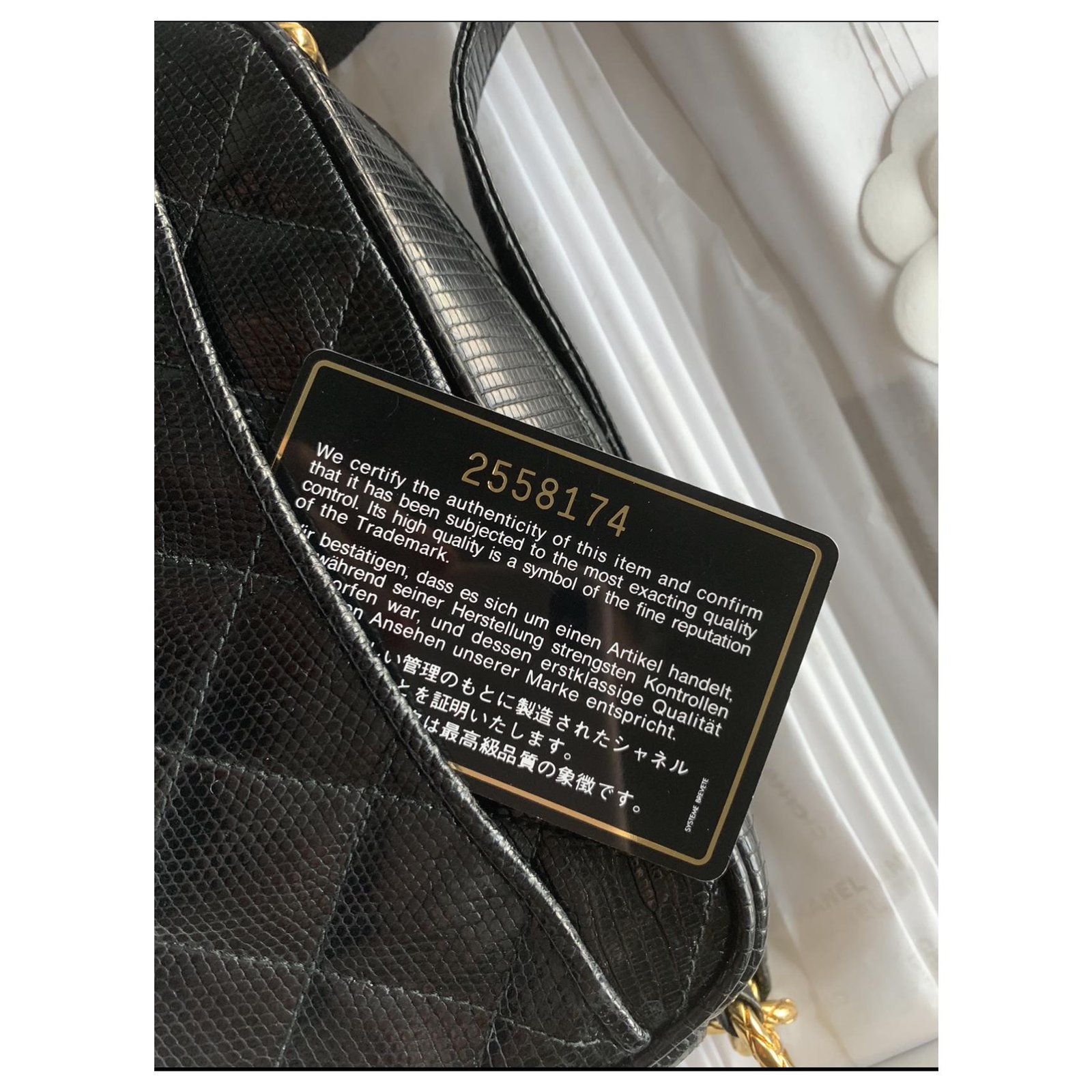 Chanel Camera Bag Black Exotic leather ref.165219 - Joli Closet