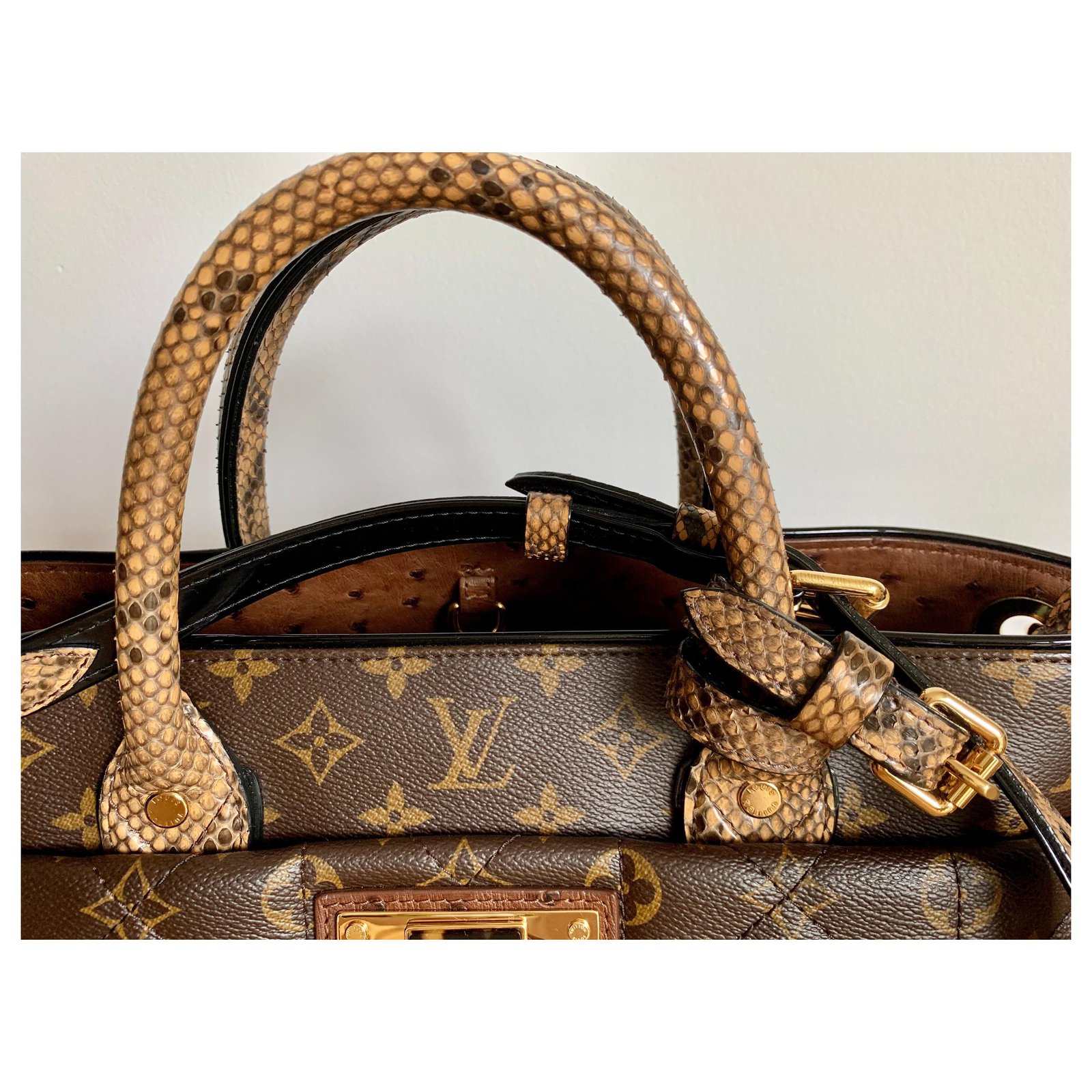 Louis Vuitton Monogram Etoile Exotique GM - Brown Totes, Handbags -  LOU796387