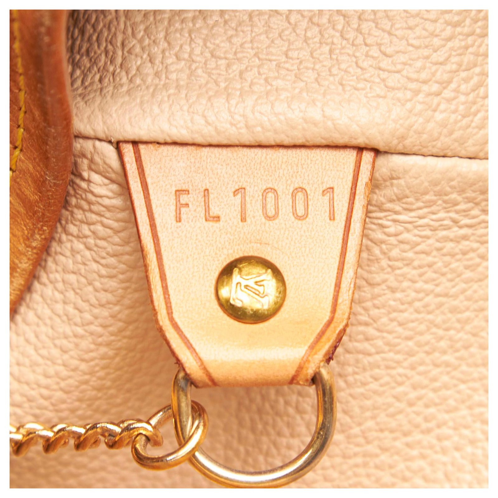 Louis Vuitton Brown Monogram Bucket GM Cloth ref.946501 - Joli Closet