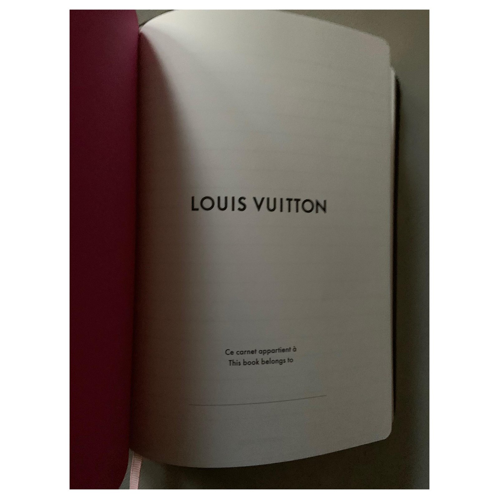 Organizer Louis Vuitton Vivienne Notizbuch Japan exklusiv
