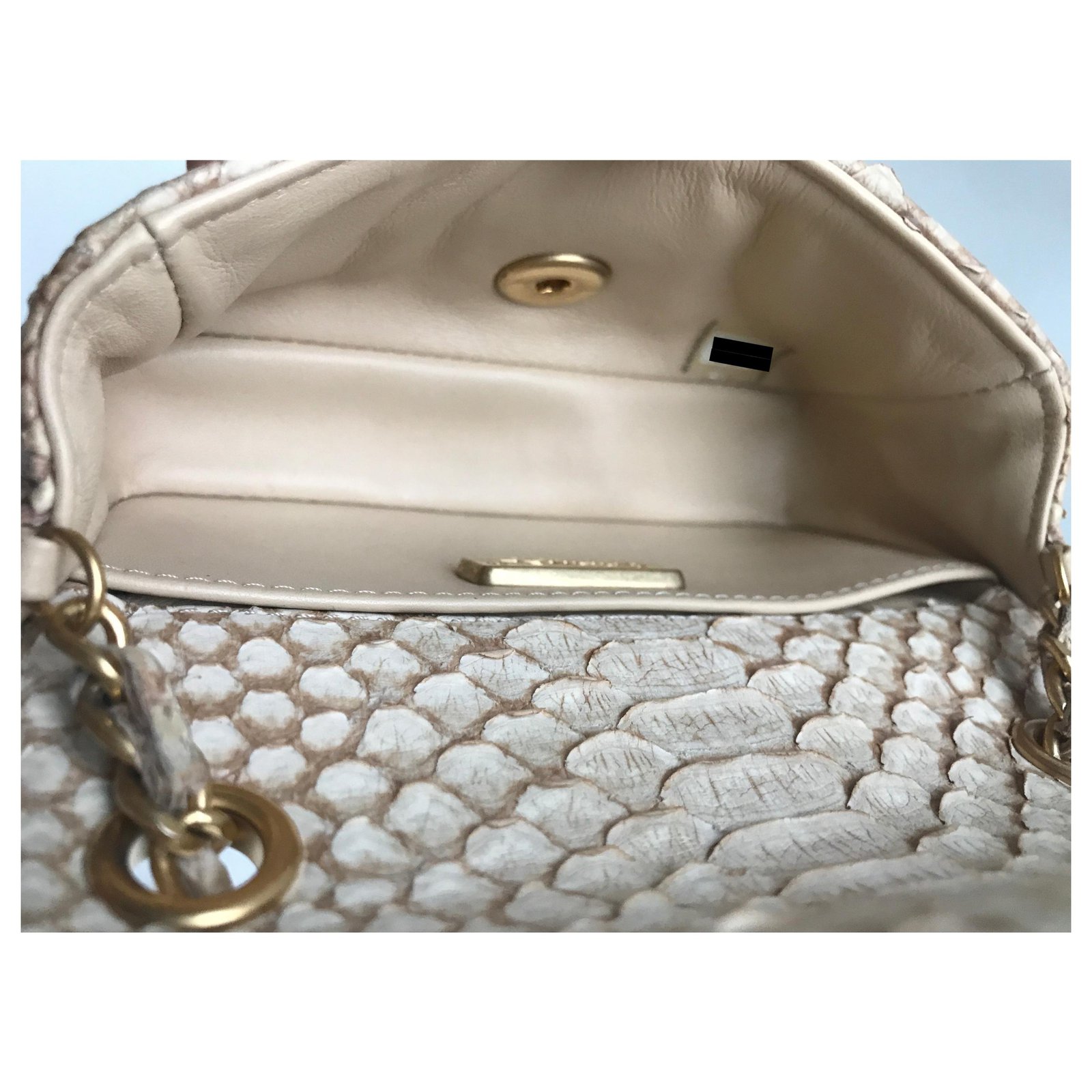 Chanel Timeless Mini Flap Bag luxurious python Beige Cream Leather