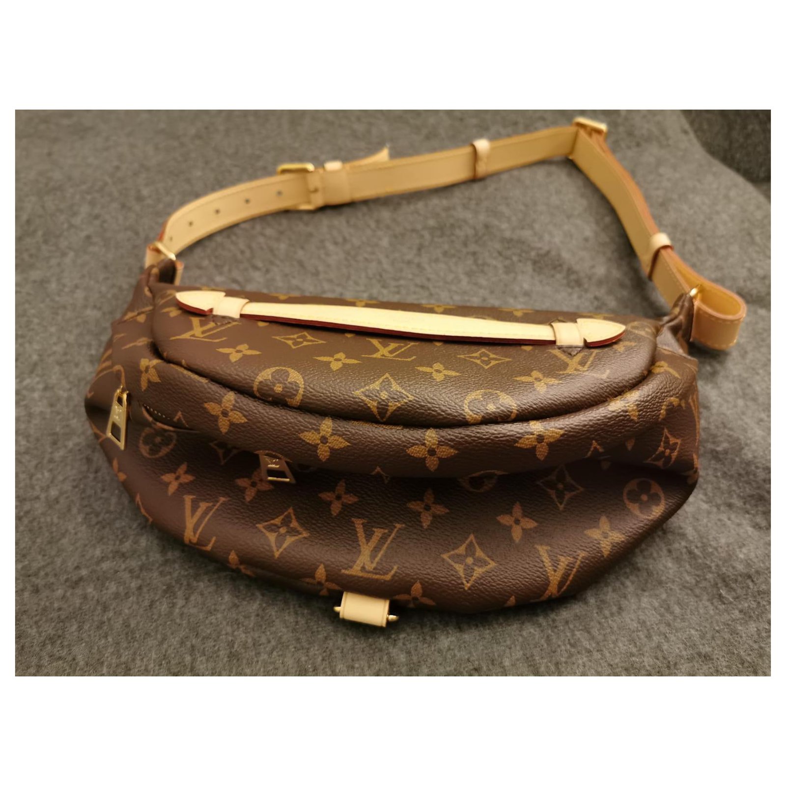 Louis Vuitton bumbag Brown Cloth ref.919568 - Joli Closet