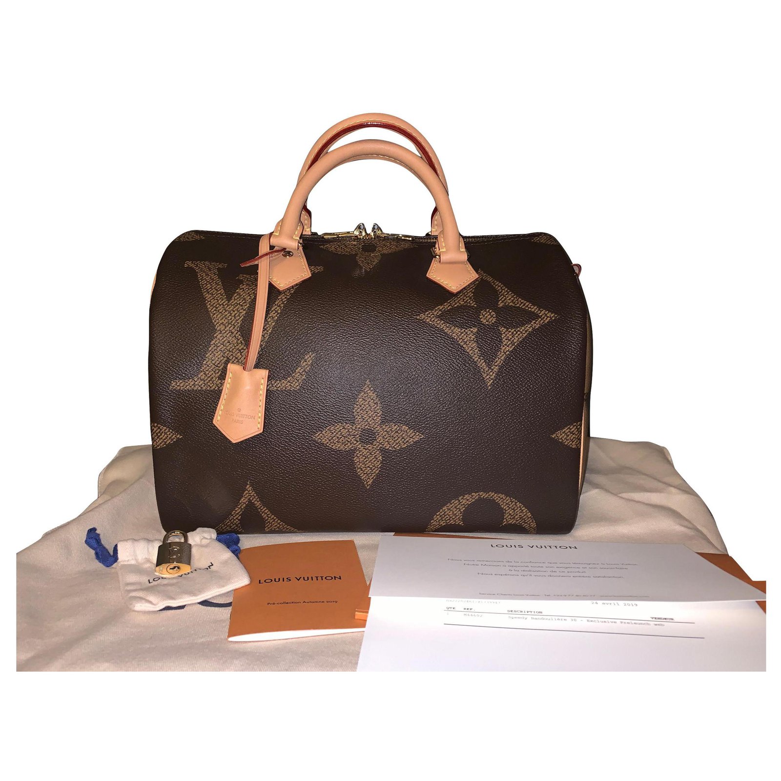 Louis Vuitton Speedy 30 Giant monogram Brown Beige Cloth ref.438418 - Joli  Closet