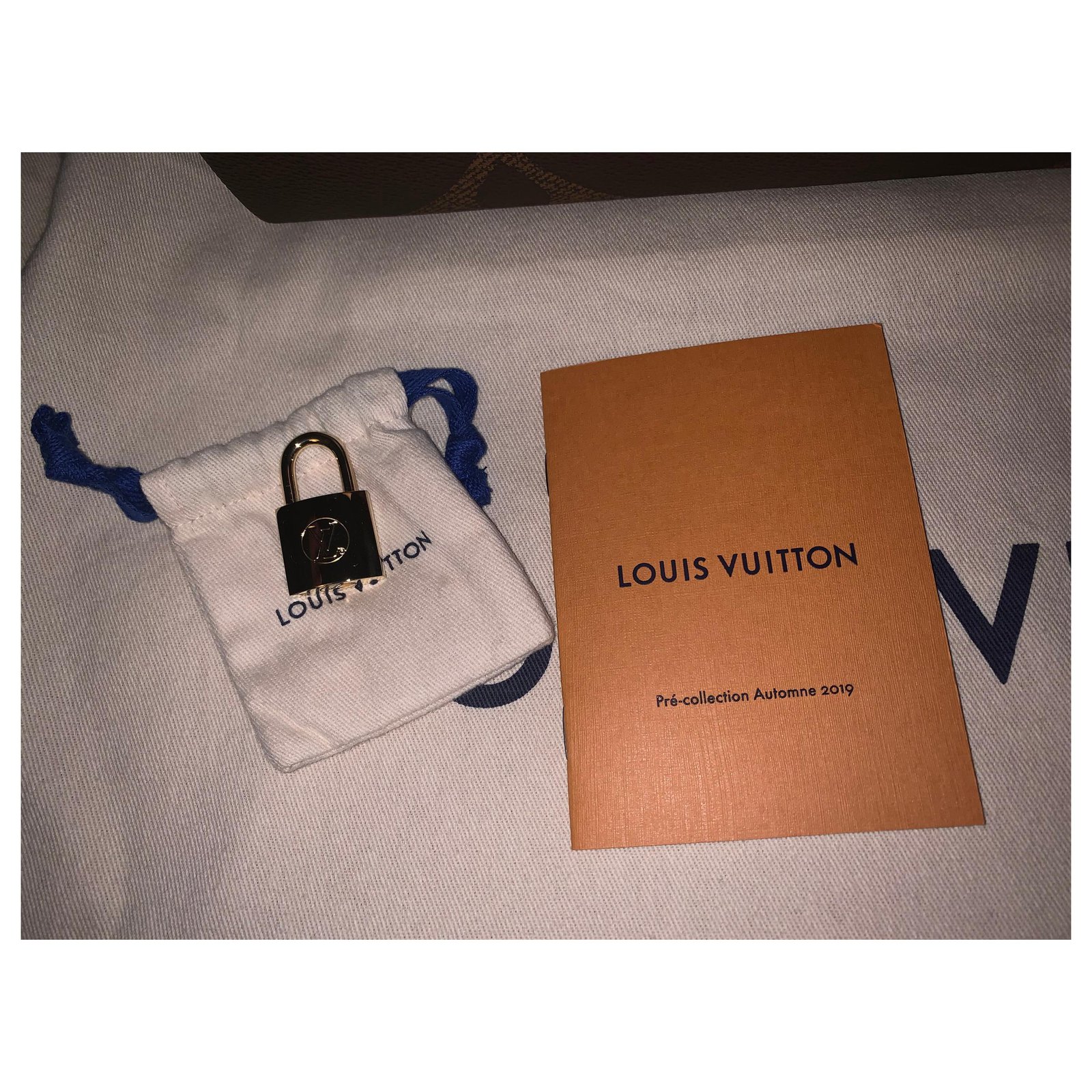 Louis Vuitton Speedy Giant Monogram - Designer WishBags