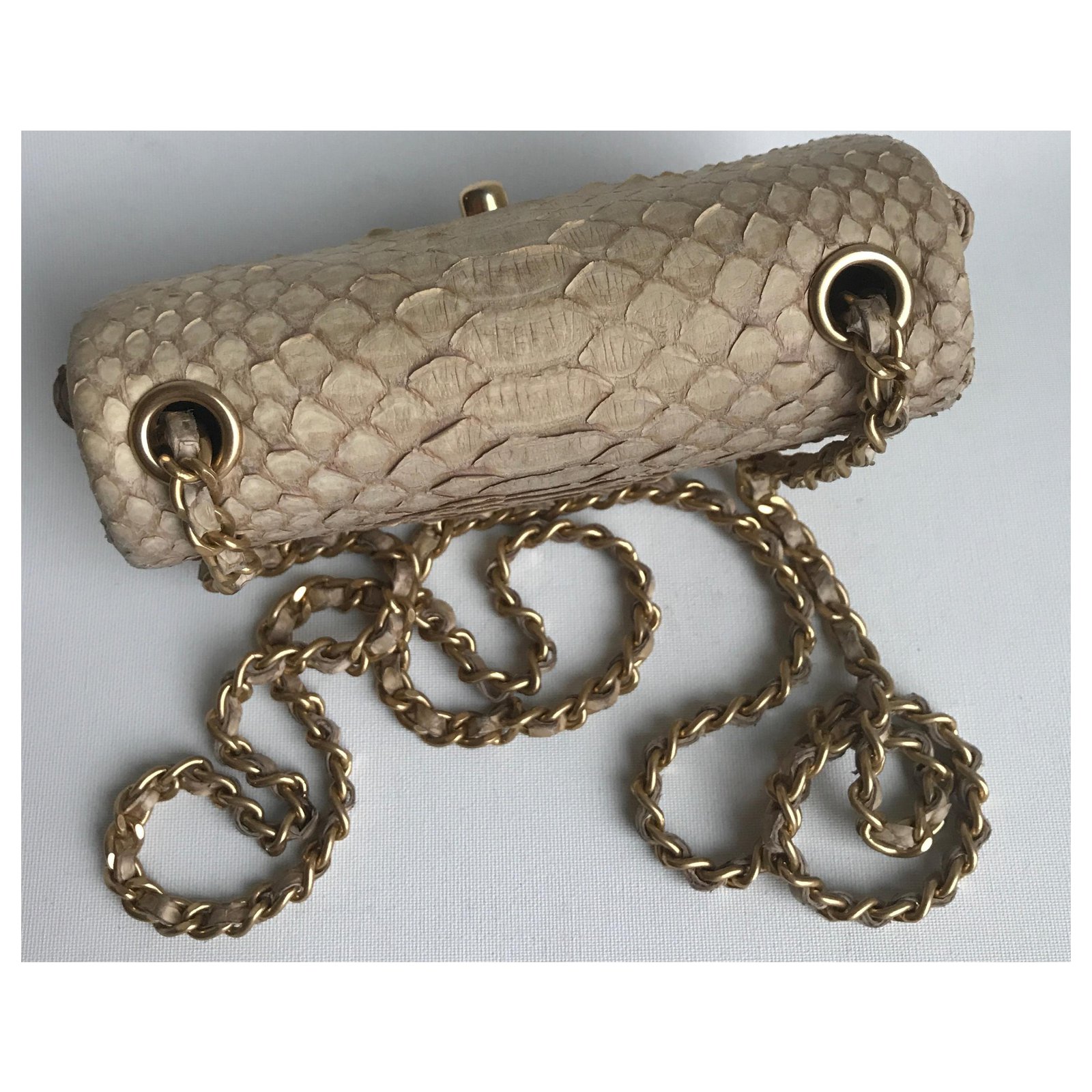 chanel python bag