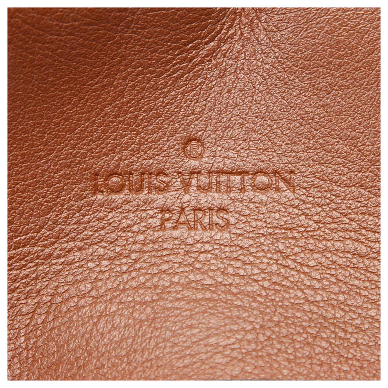 Louis Vuitton Brown Monogram Tuileries Besace Leather Cloth Pony-style  calfskin ref.177979 - Joli Closet