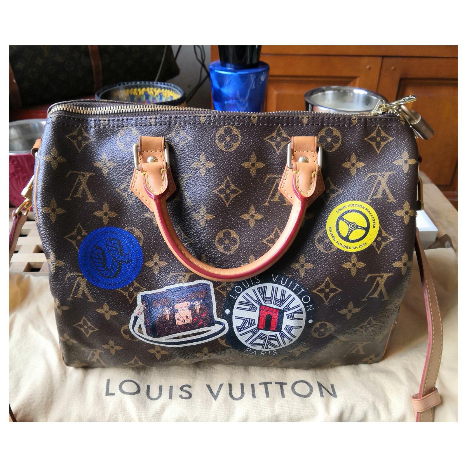 Louis Vuitton Sublime speedy shoulder bag world tour Dark brown Leather  Cloth ref.179306 - Joli Closet