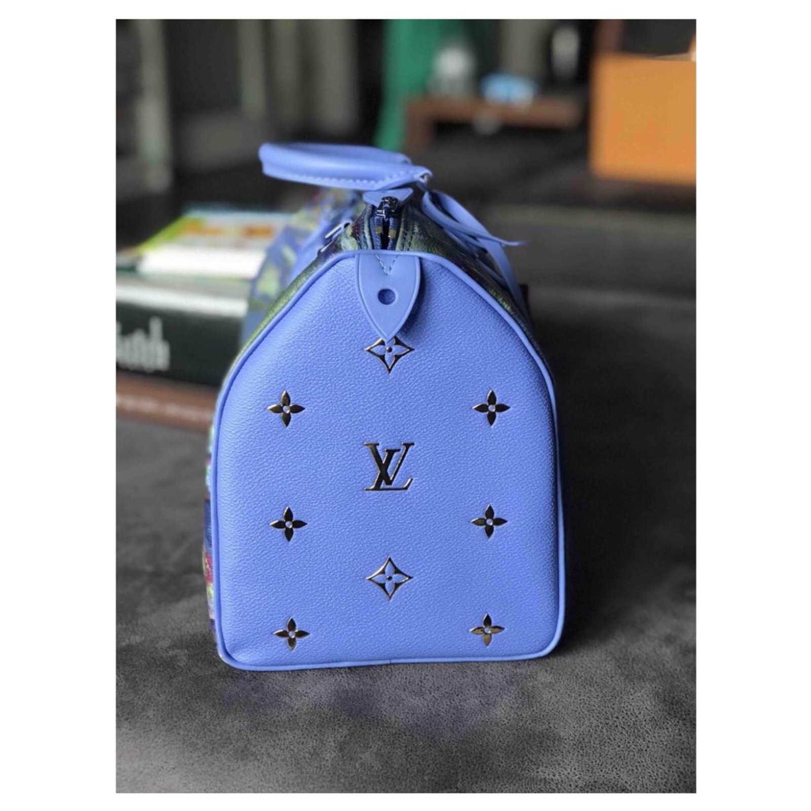 Louis Vuitton Masters Collection Monet Speedy 30 - Blue Handle Bags,  Handbags - LOU800444