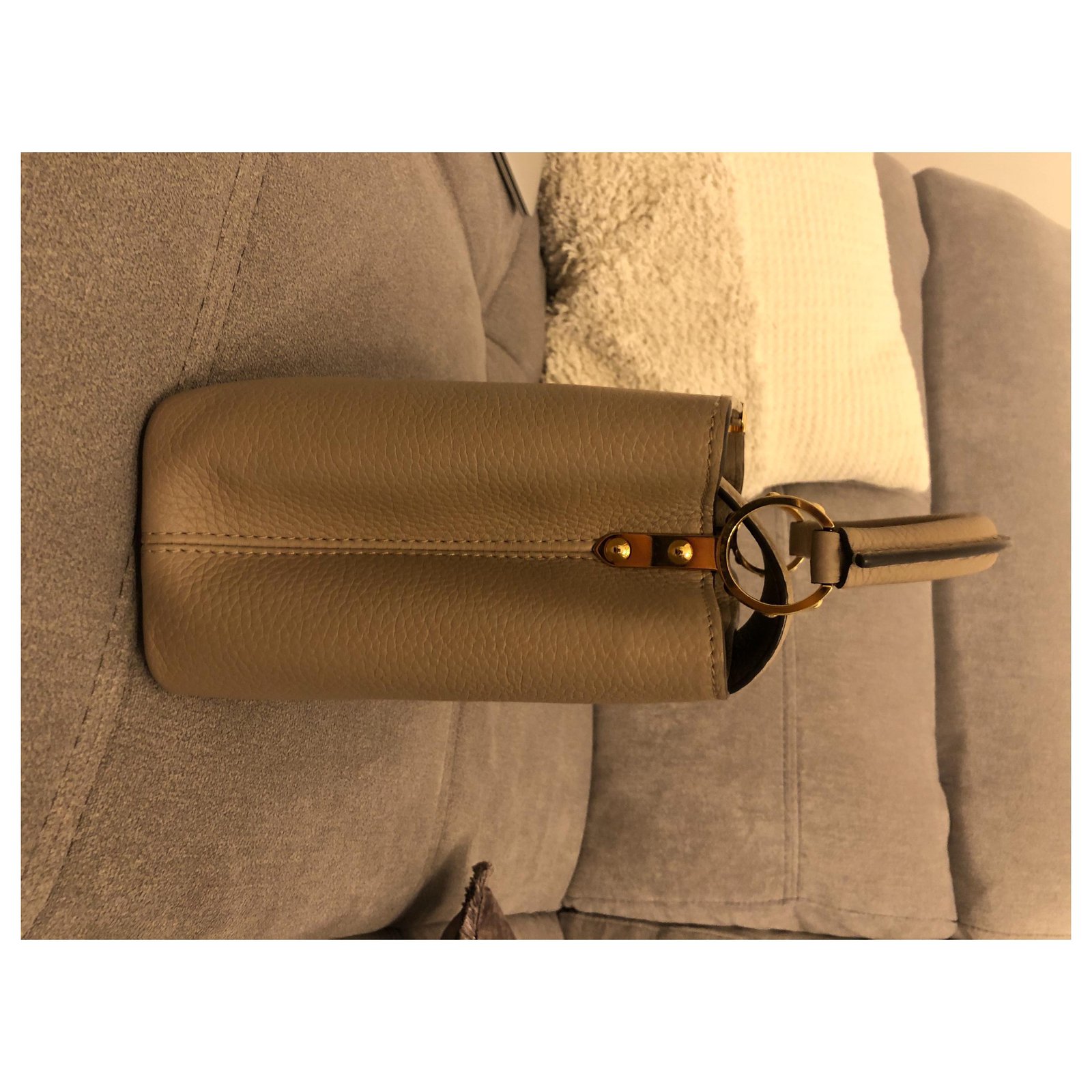 Louis Vuitton Light Beige Leather Limited Edition Garden Party Capucines BB  Bag