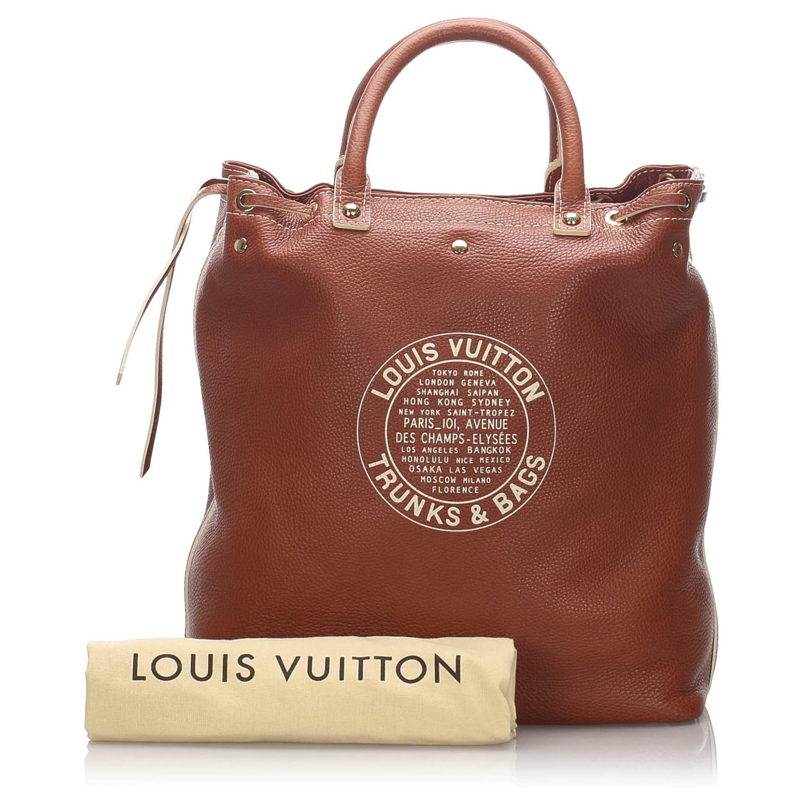 Louis Vuitton Brown Tobago Trunks and Bags Shoe Bag Leather Pony