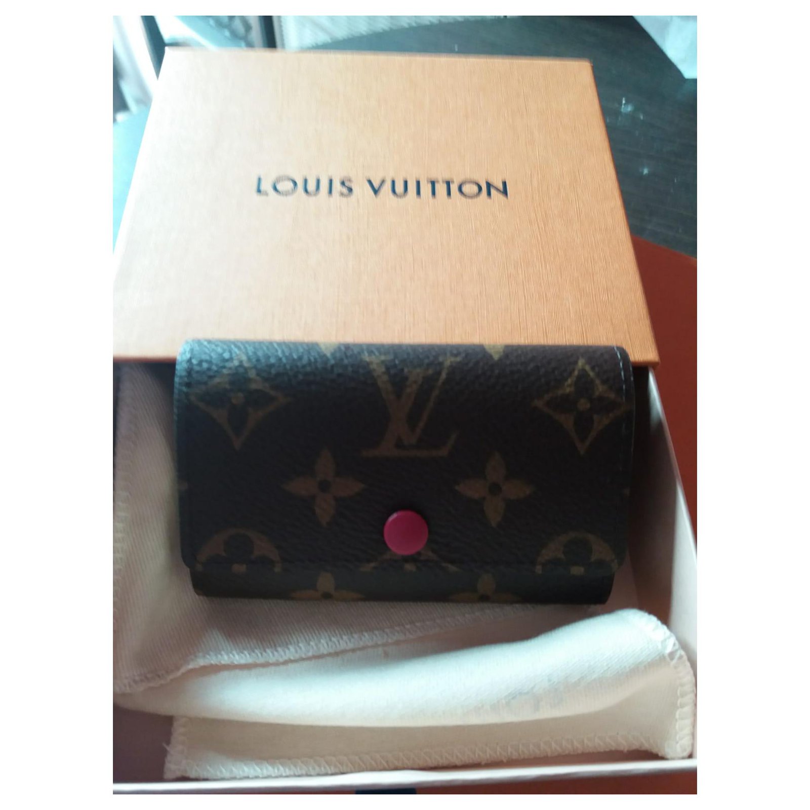 Louis Vuitton Simpatico mini astuccio Marrone Pelle ref.799431 - Joli Closet