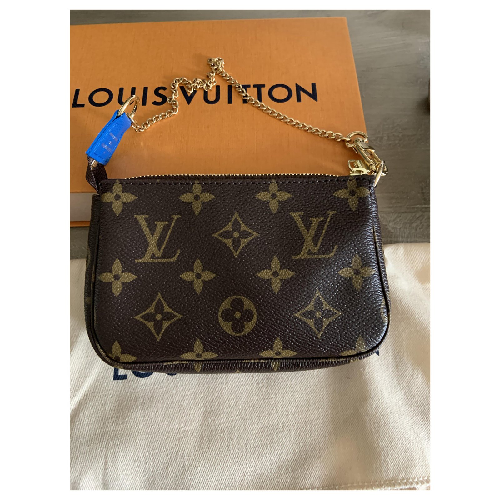 Louis Vuitton Vivienne Venice 2019 Mini Pochette Accessories Monogram - THE  PURSE AFFAIR