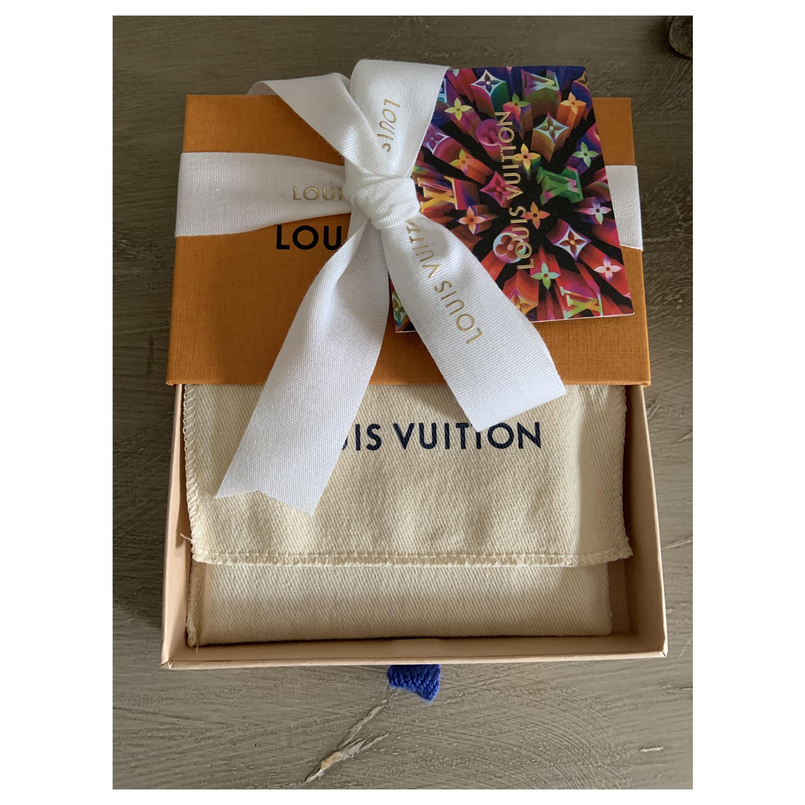 Louis Vuitton Mini Jules Vivienne notebook limited edition Christmas 2019  Multiple colors ref.201247 - Joli Closet