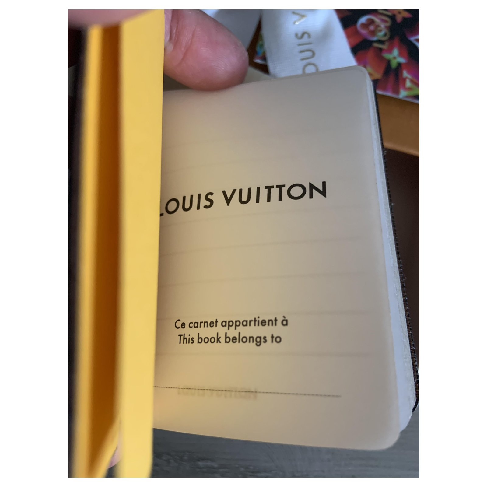 Louis Vuitton Mini Jules Vivienne notebook limited edition