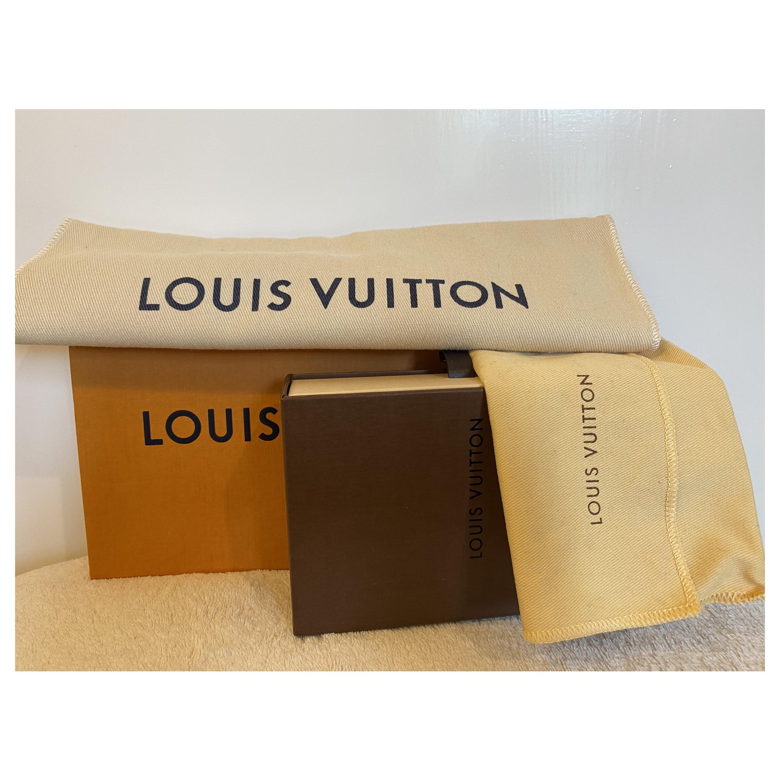 Louis Vuitton LV Mini pochette Accessoires xmas Brown Leather ref.226682 -  Joli Closet