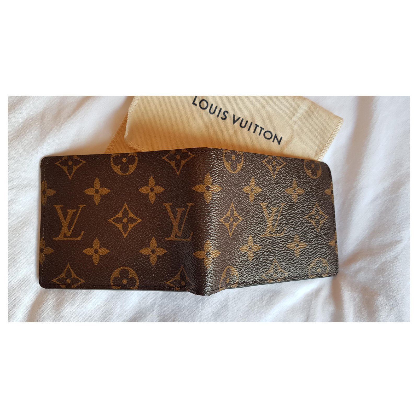 Louis Vuitton Totes Brown Leather Plastic ref.209360 - Joli Closet